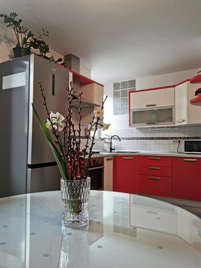 Apartment Terassin 코페르 외부 사진